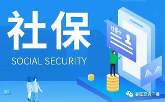 婁星區稅務局為您解讀減稅降費相關稅收政策及辦稅服務舉措